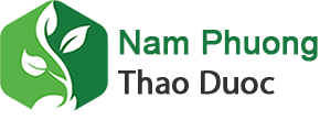  Cây nấm lim xanh